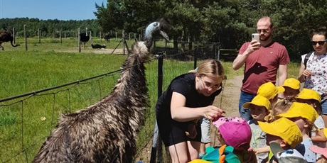 Wycieczka krajoznawczo-turystyczna na Farmę strusi w Kniewie