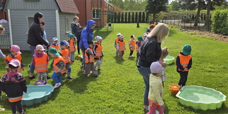 Powiększ grafikę: zabki-na-wycieczce-629276.jpg