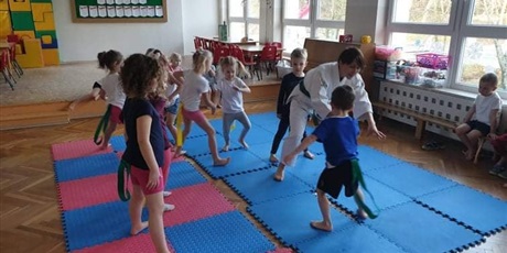 Powiększ grafikę: zajecia-judo-w-biedronkach-sowkach-i-pszczolkach-334757.jpg